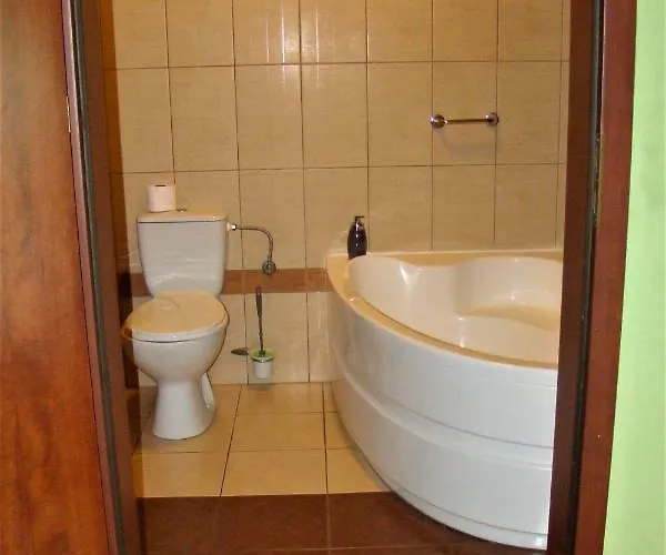 Mistral אורחן *